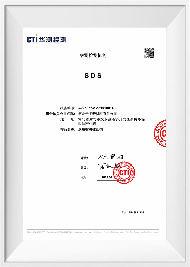 Kumpulan Antarabangsa Pengujian Pusat