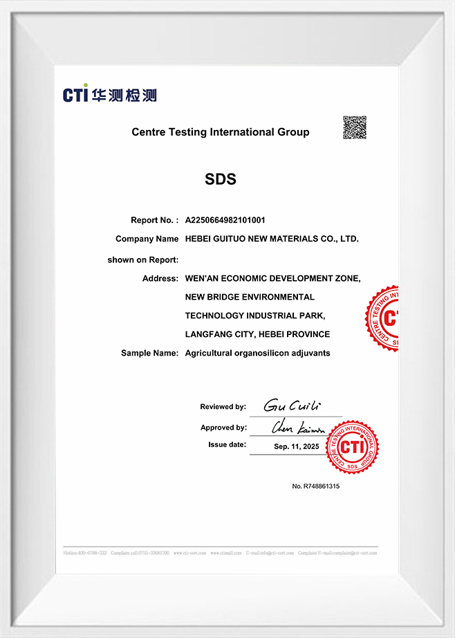 Kumpulan Antarabangsa Pengujian Pusat